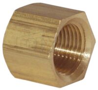 NPTF Pipe Cap